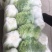 【源头商家】白菜大量上市源头商家一手货源商超品质