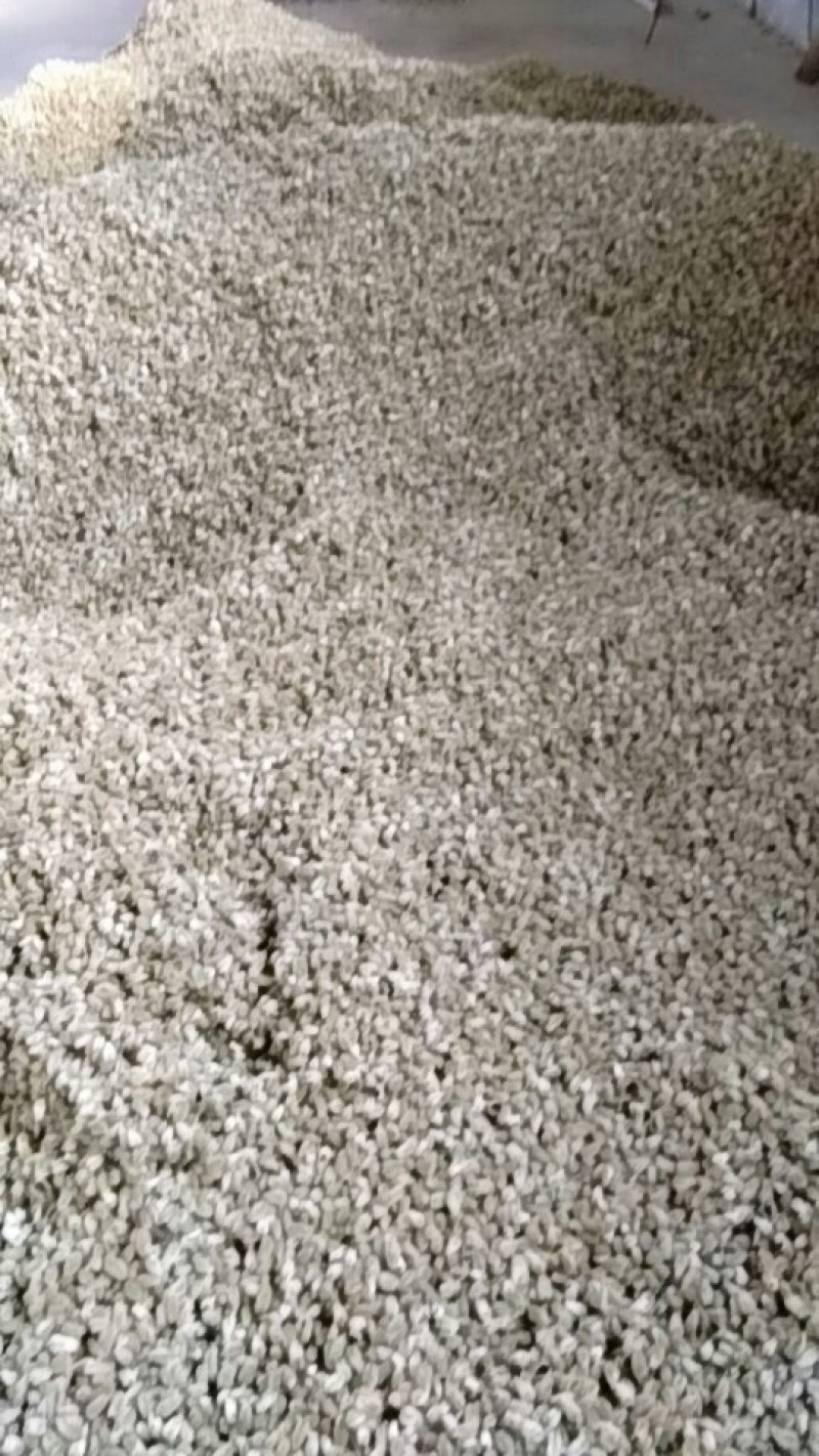 辛夷花批发辛夷之乡价格电议药用调料辛香料
