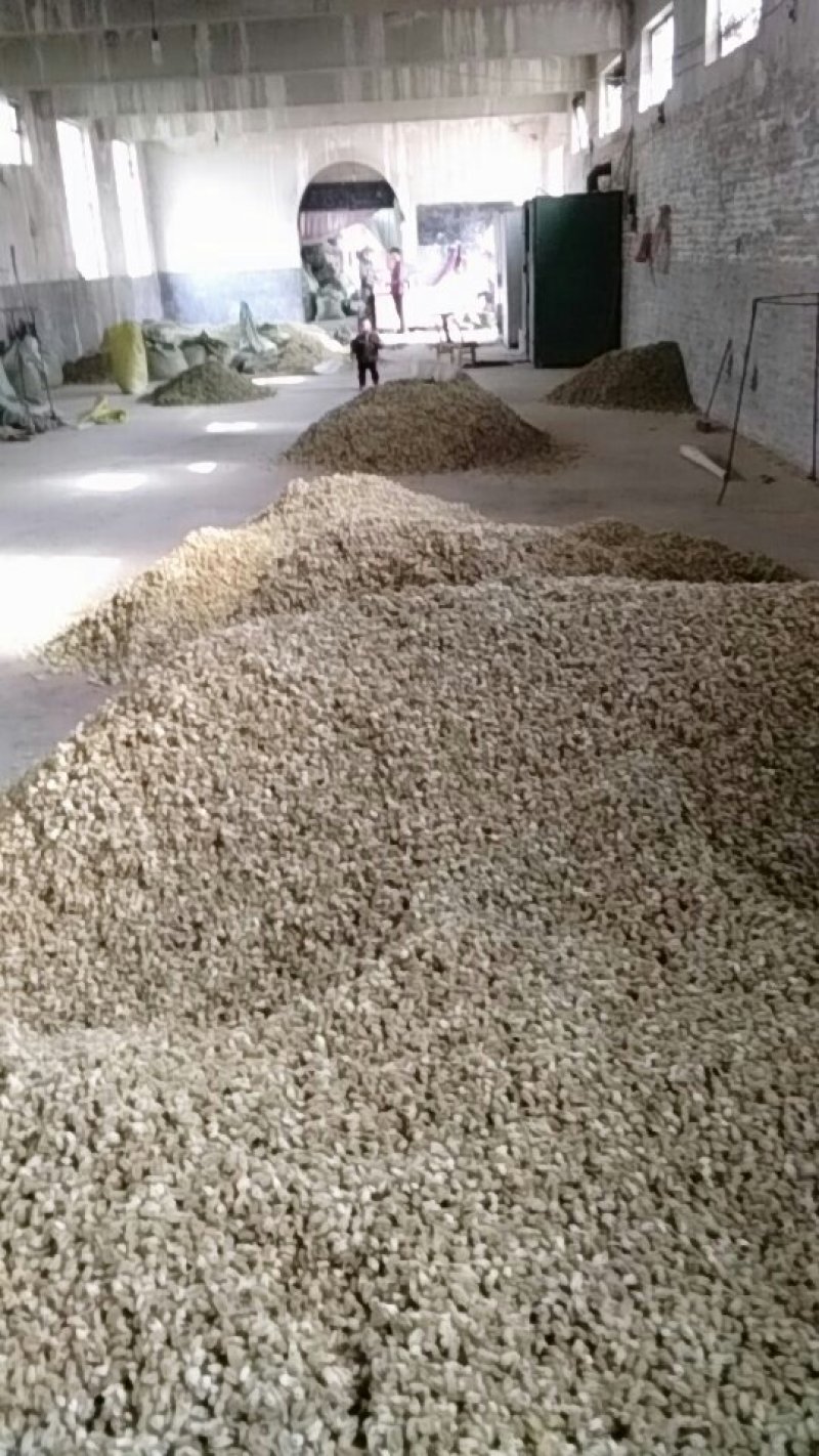 辛夷花批发辛夷之乡价格电议药用调料辛香料