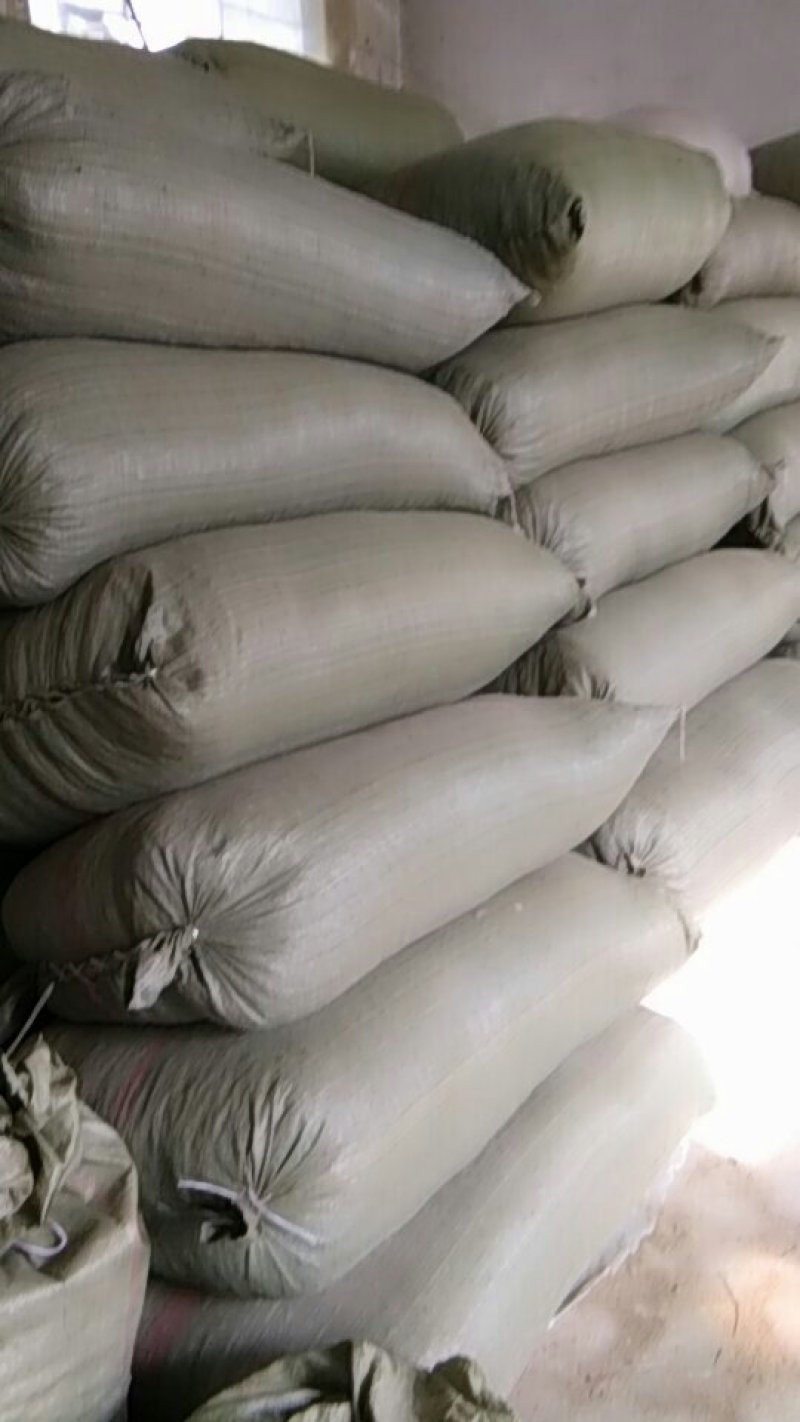 辛夷花批发辛夷之乡价格电议药用调料辛香料