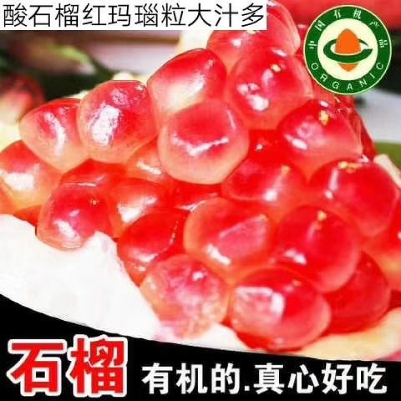 云南建水-特产有机绿皮甜石榴