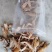 天麻中小统秦岭农家仿野生种植无硫干品1斤包邮