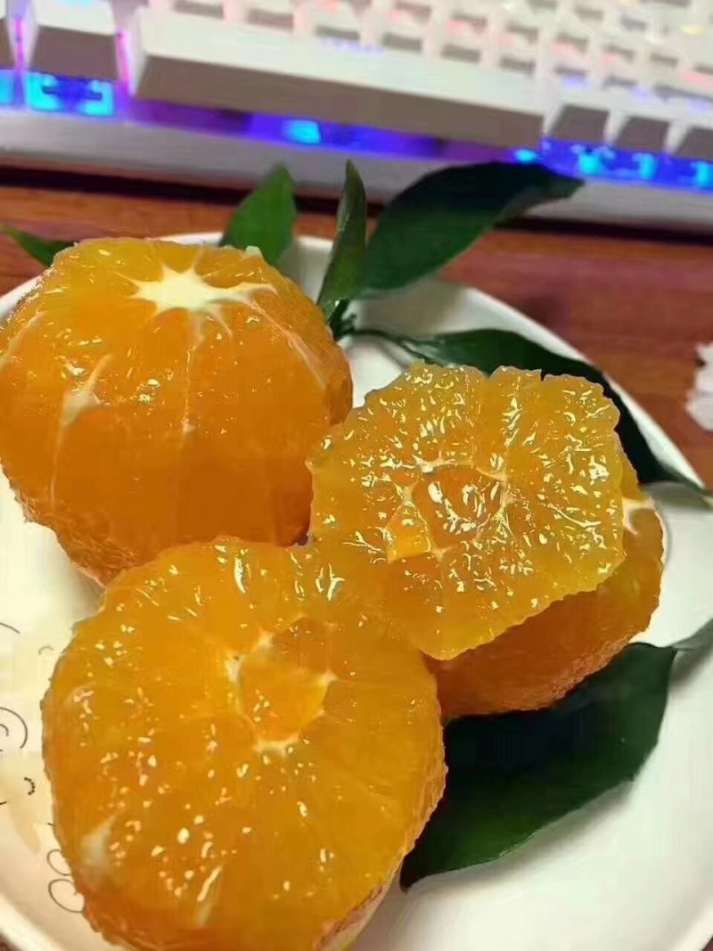 九月红脐橙，果园直发，新鲜，现摘现发，诚信经营