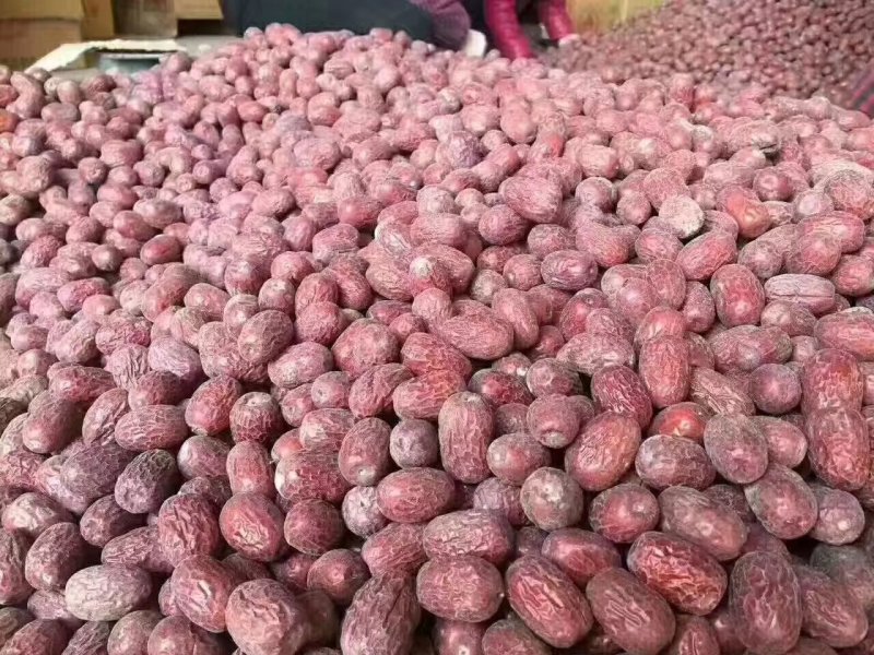 阿克苏灰枣通货若羌灰枣超特