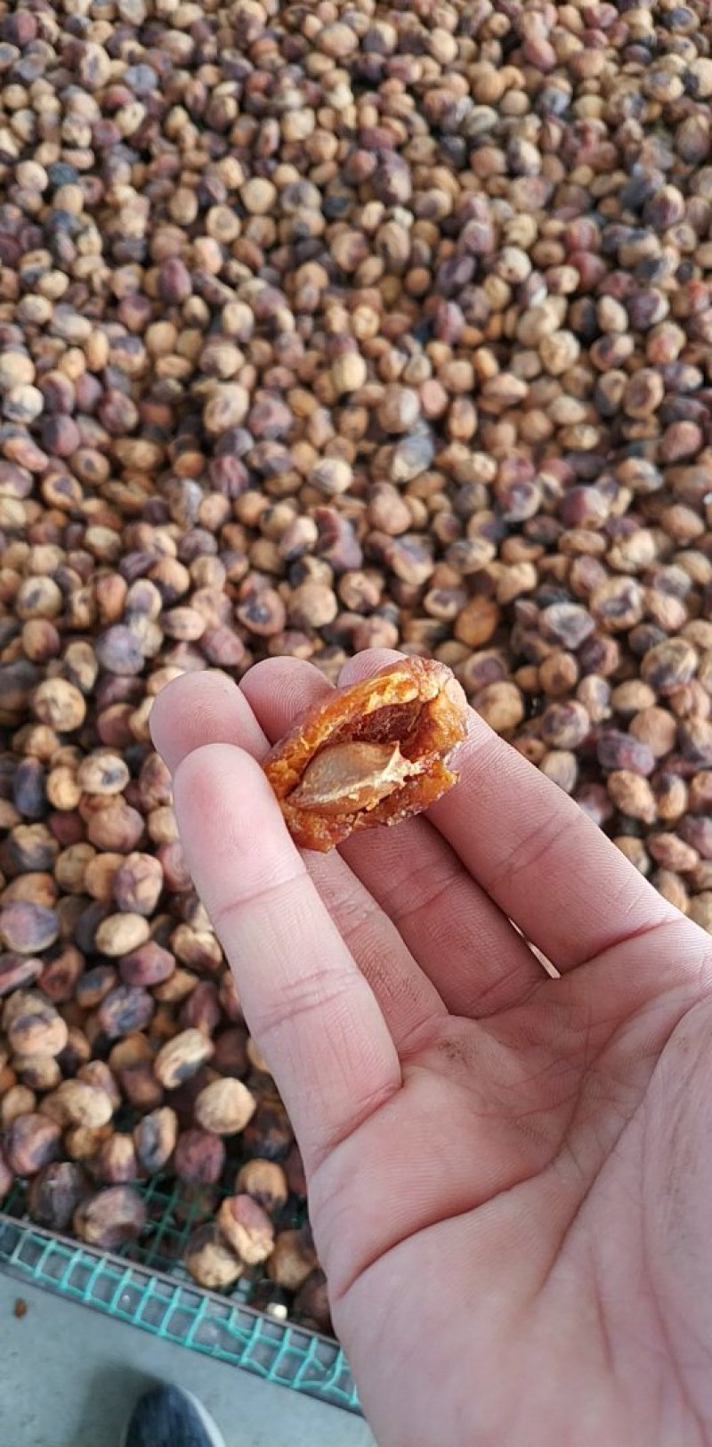 各种新疆干果批发