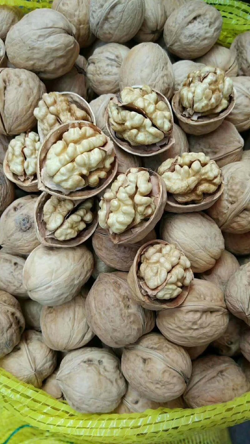各种新疆干果批发