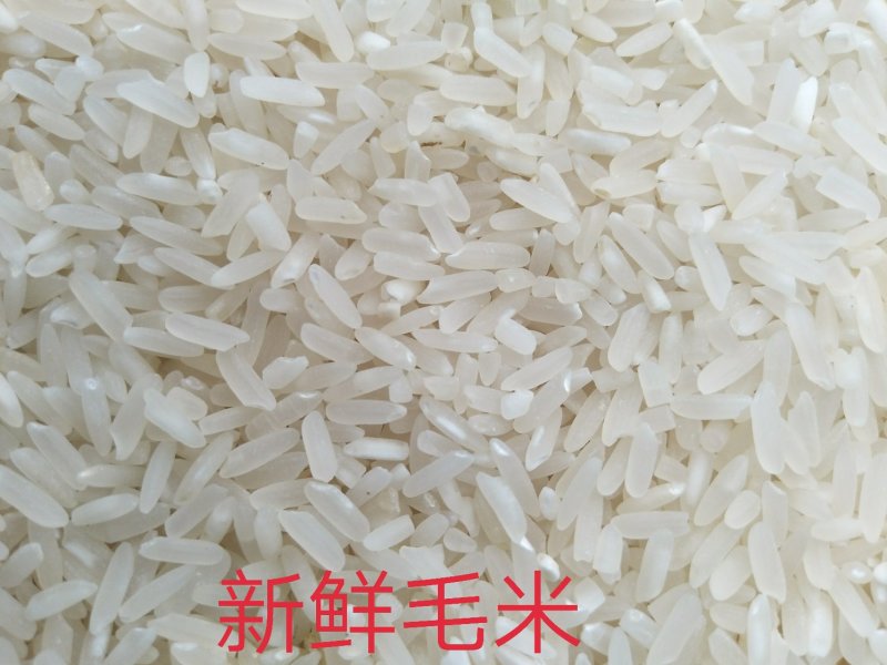 湖北省监利市优质大米，丰优稻米批发