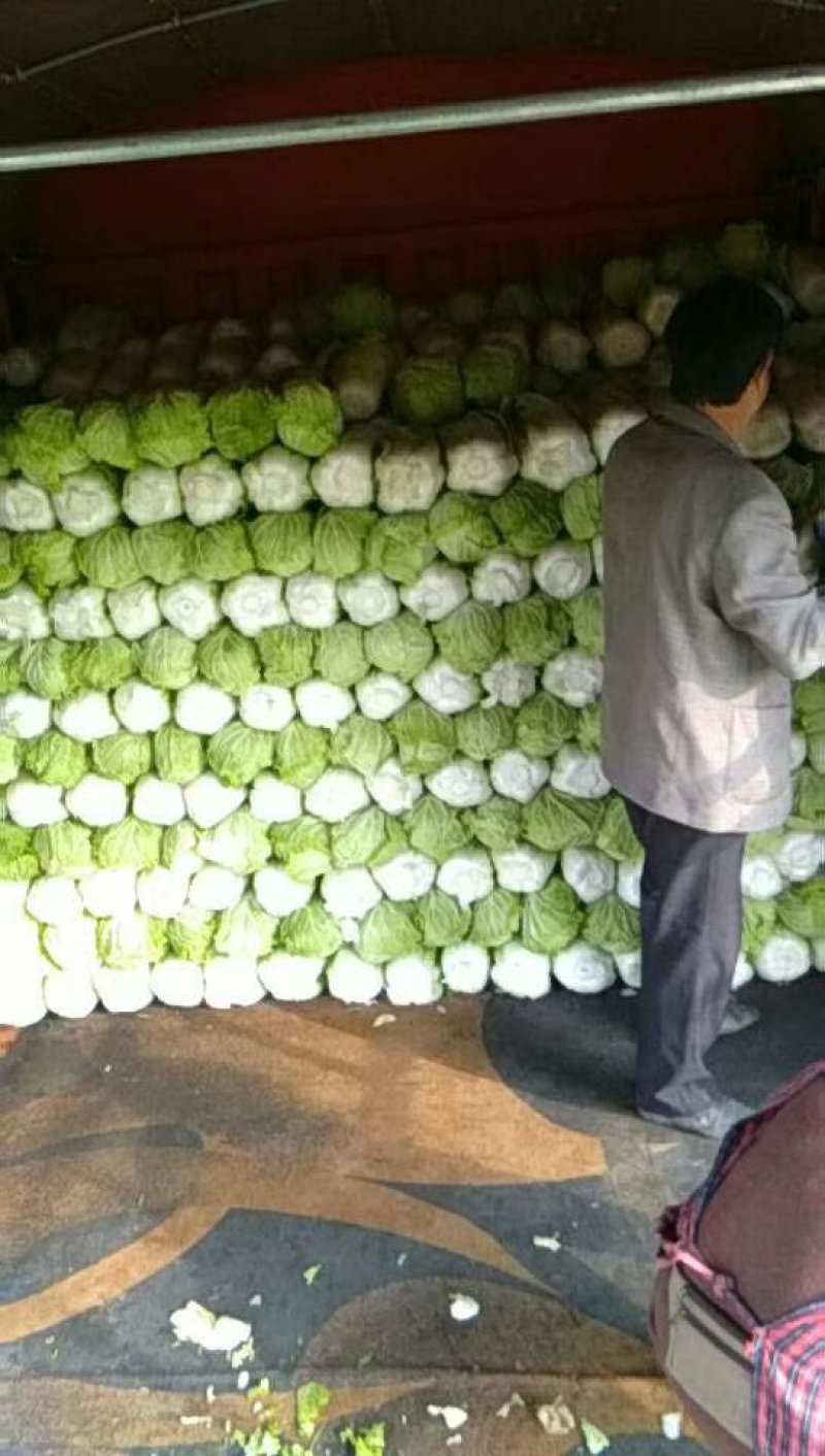 大颗心足