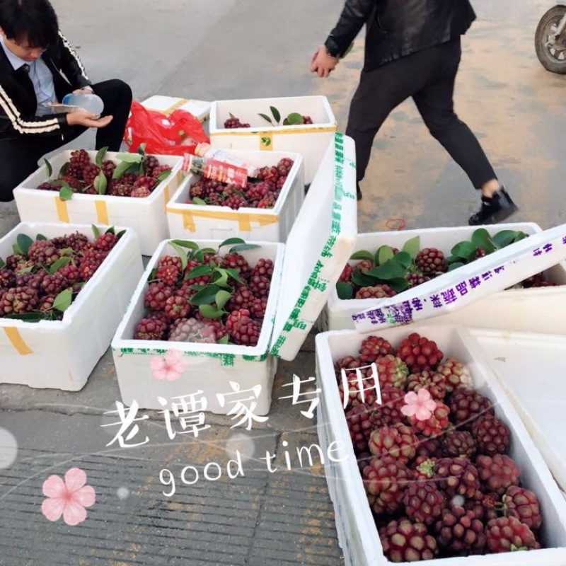 布福娜300~600g