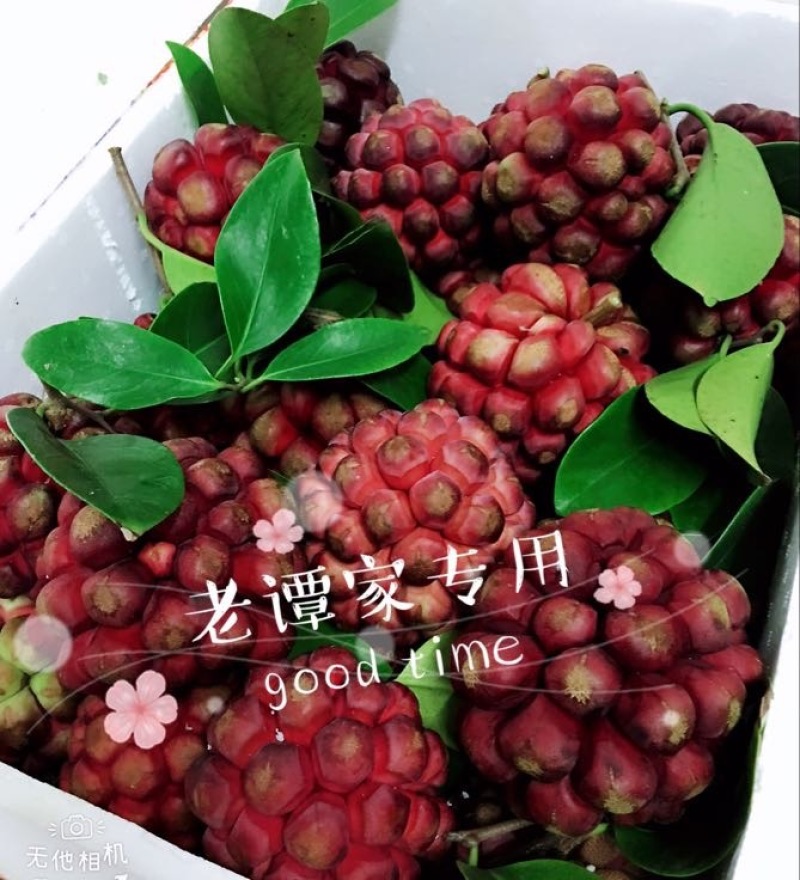 布福娜300~600g