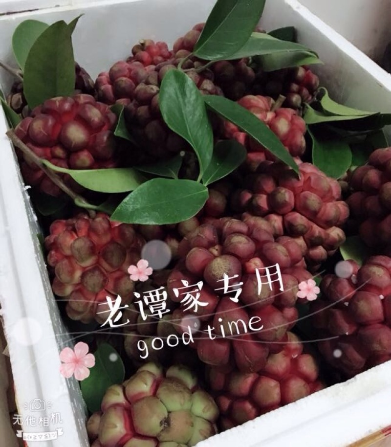 布福娜300~600g