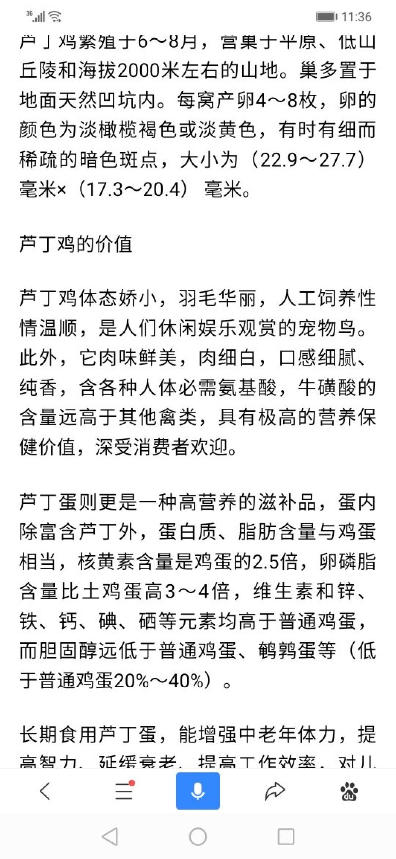 芦丁鸡青年种鸡