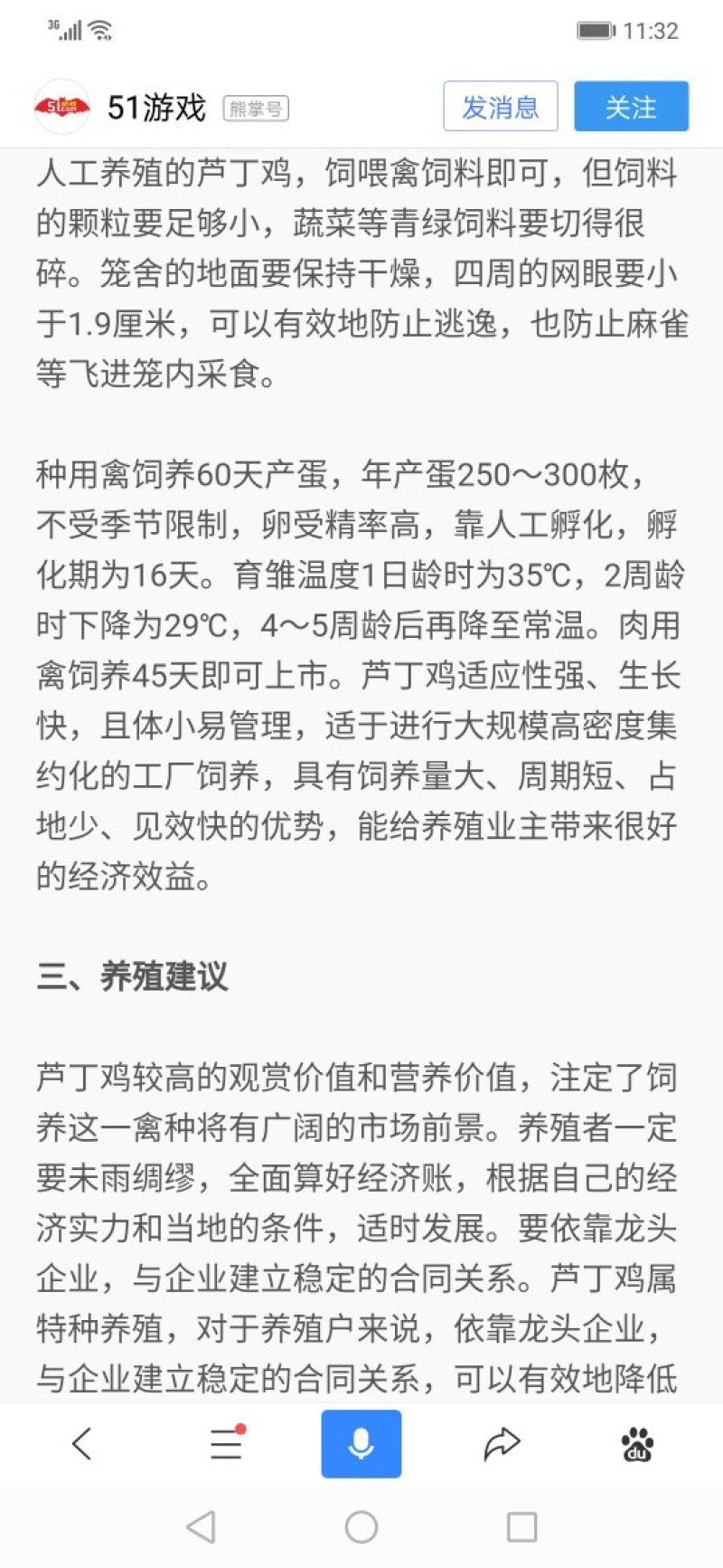 芦丁鸡青年种鸡