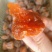 大量优质柿饼