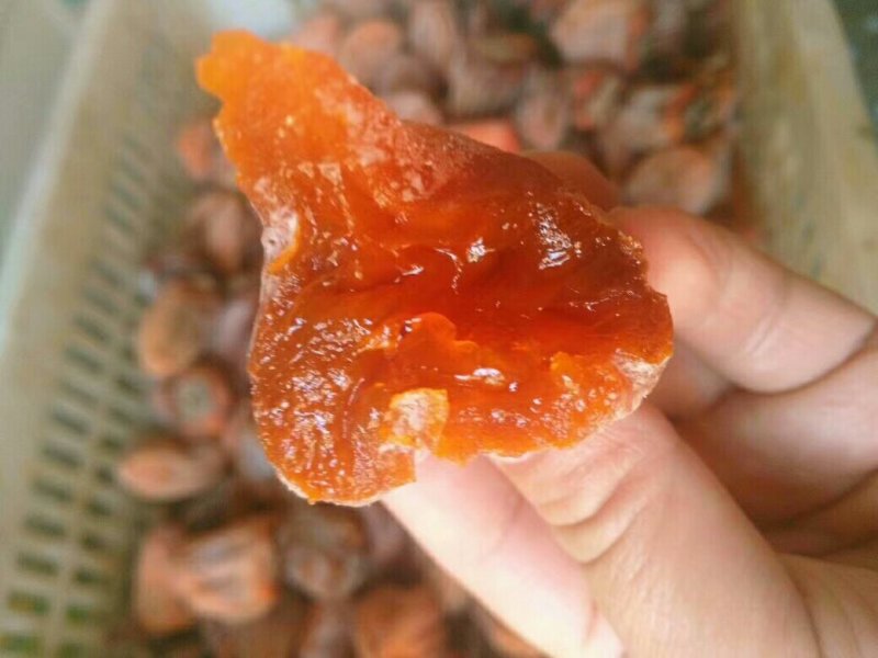 大量优质柿饼