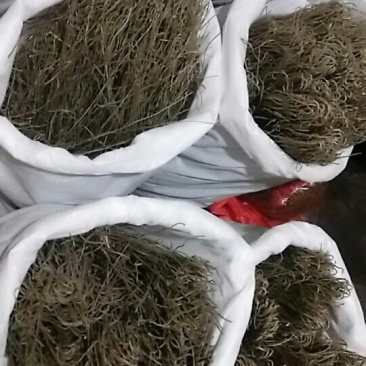 手工林县红薯粉条