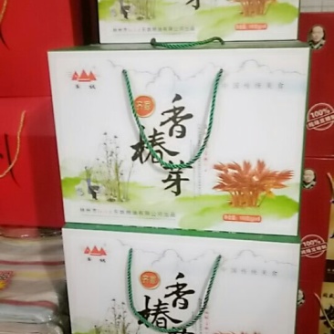 林县香椿芽