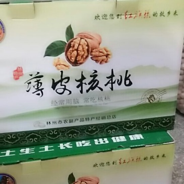 林县核桃