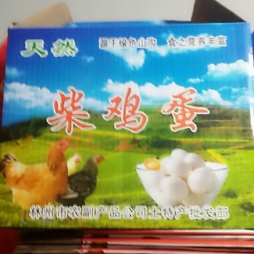 林县土鸡蛋