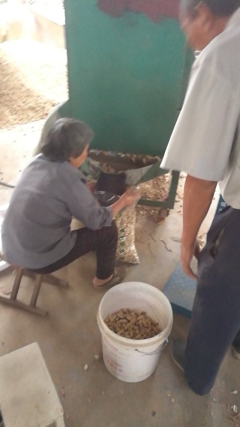 花生炒花生原味花生带壳花生河南炒花生5斤包邮一件代发花生