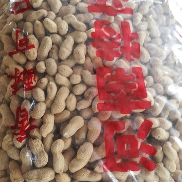 花生炒花生原味花生带壳花生河南炒花生5斤包邮一件代发花生