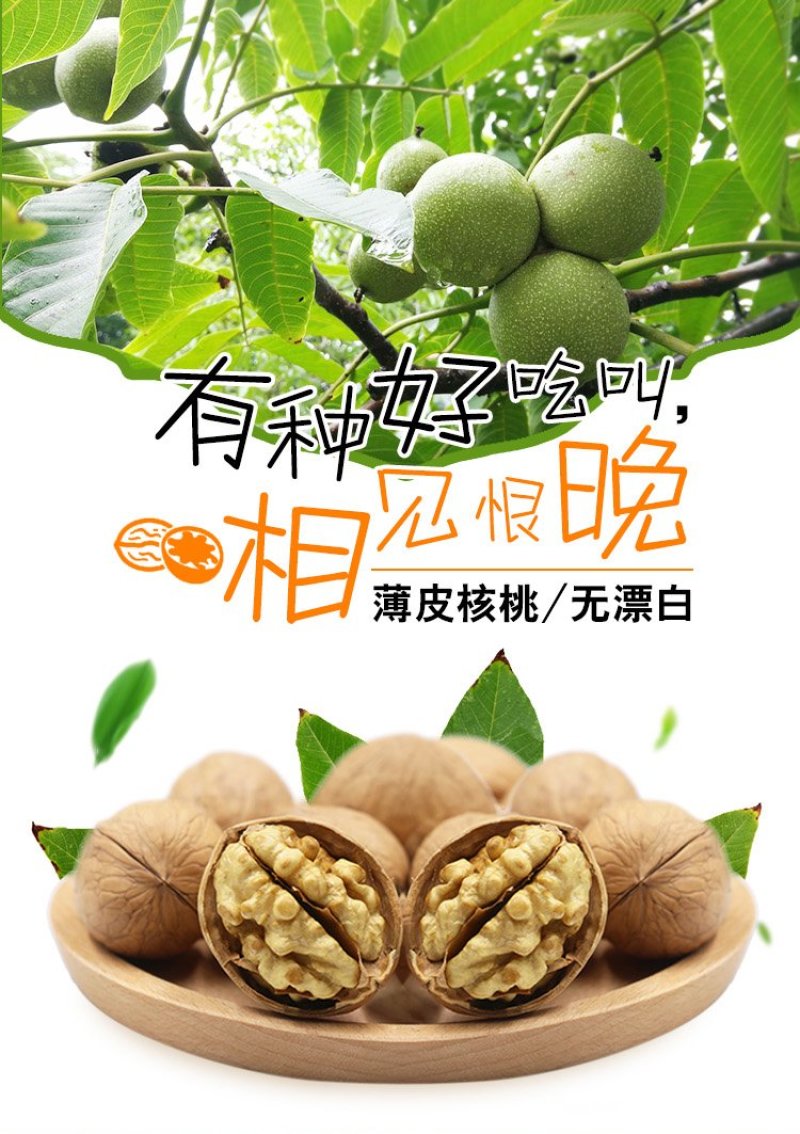 新疆薄皮核桃5斤装52元大货30果径以上图片真实
