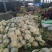 优质有机花菜，松花菜，质量好，青梗，白面，价格便宜，产地直发