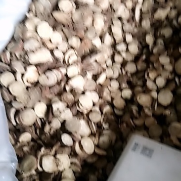 甘草