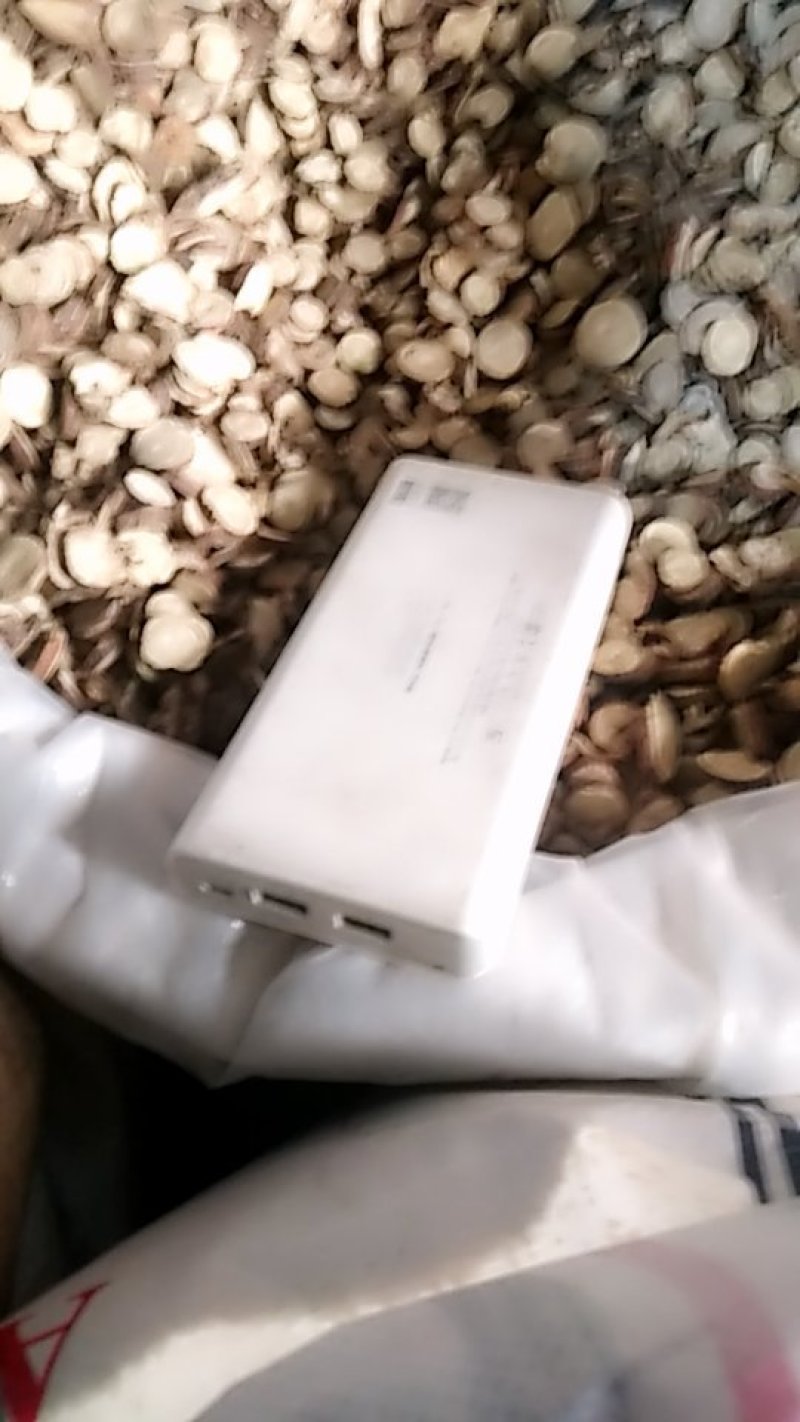 甘草