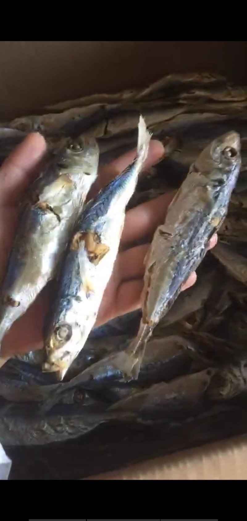 巴浪鱼干