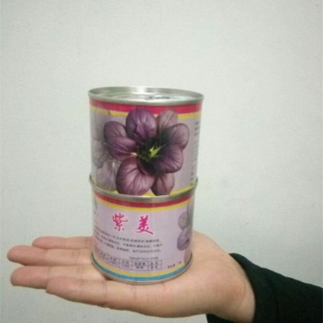 紫油菜彩色观赏食用油菜种子