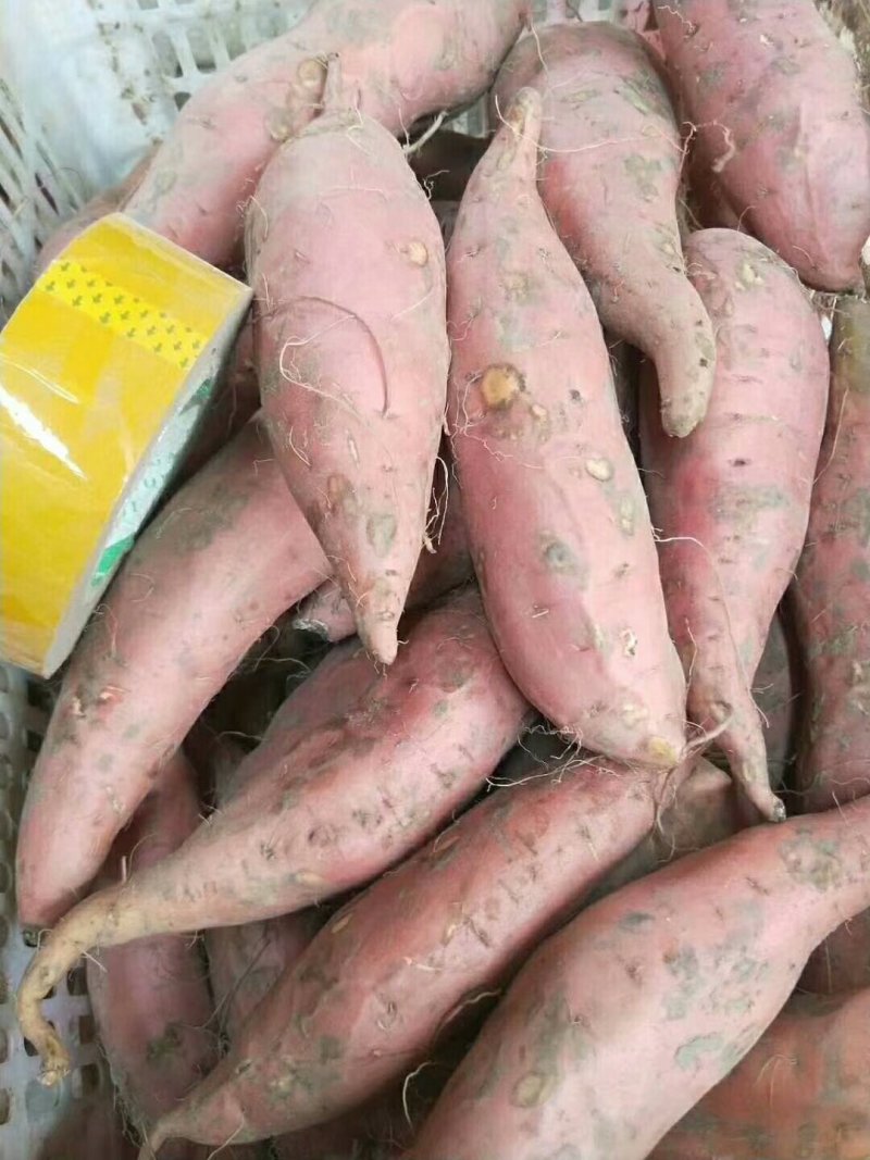 、
