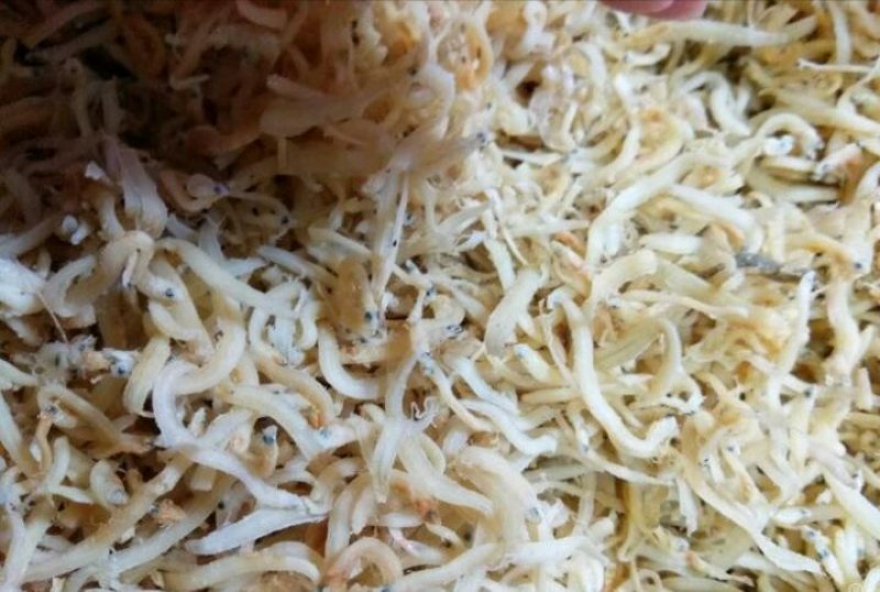 小号银鱼，七成干