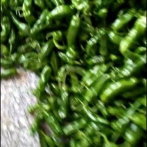 各种辣子