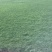 园林城中村拆旧改新工程草卷草皮草抉楼盘工地台湾草马尼拉草