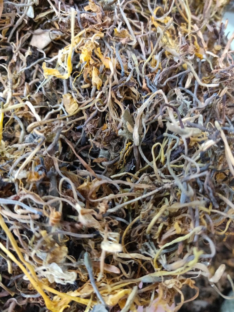 金银花晒货无硫川银花