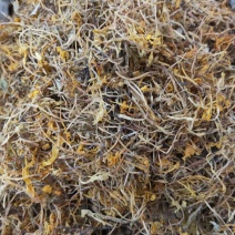 金银花晒货无硫川银花