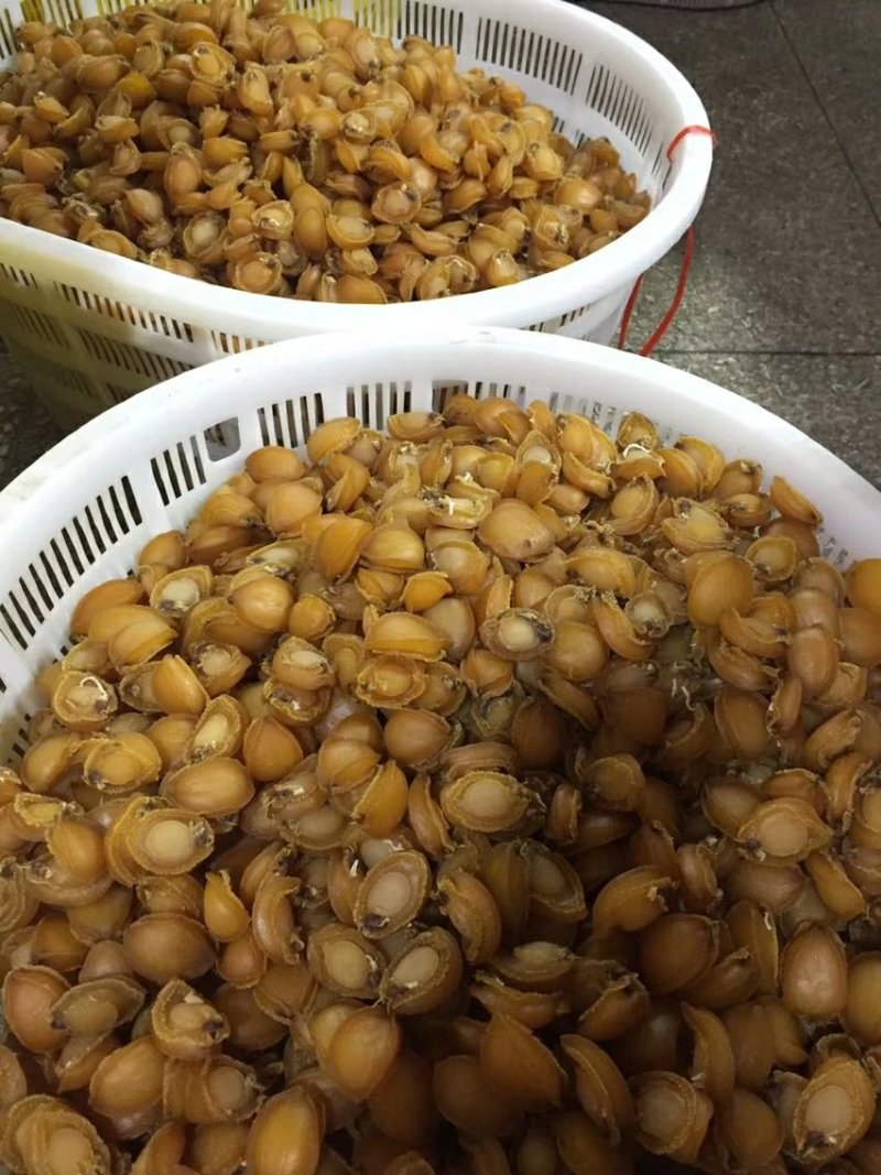 鲍鱼干，小管枣