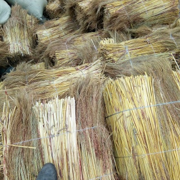 贵州高粱扫帚原料加销售
