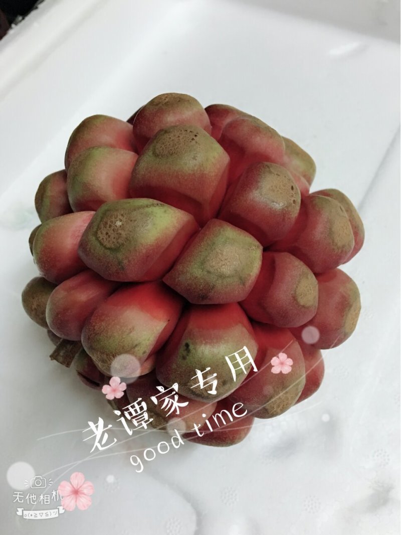 黑老虎