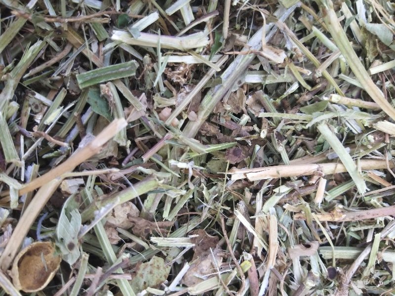 花生秧粉，花生壳粉，兔草粉，鹅草粉
