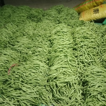 大量上市
