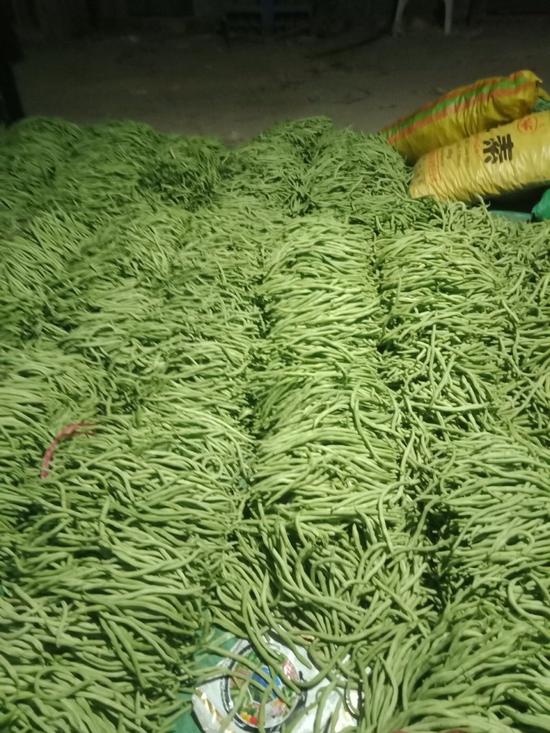 大量上市