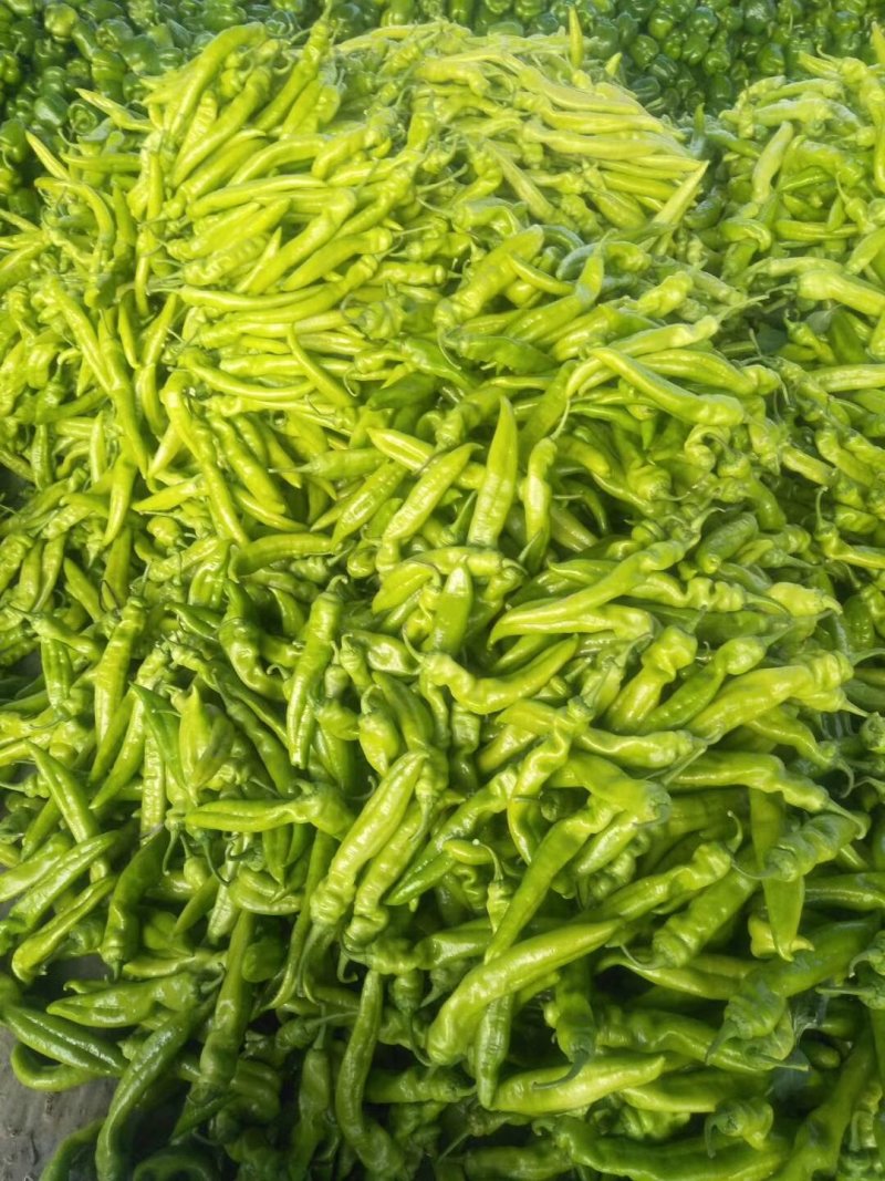 大量上市