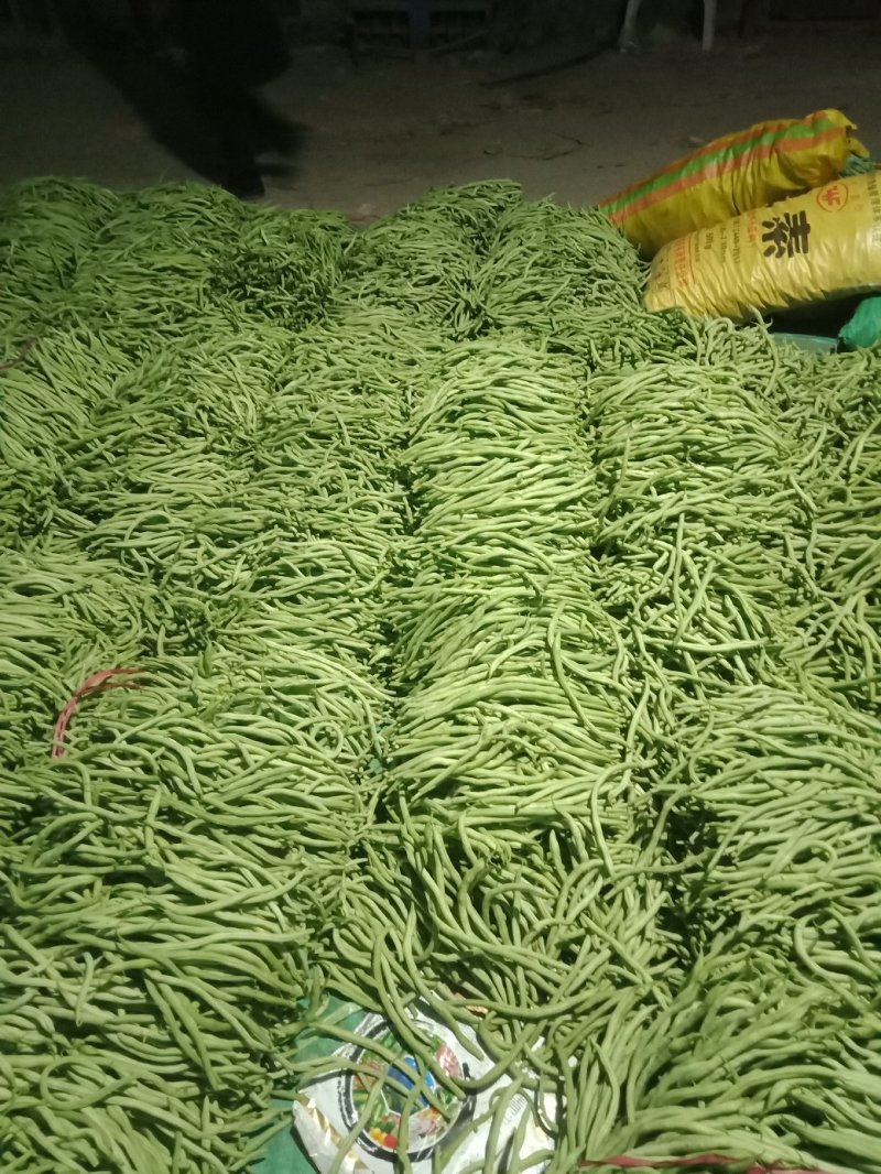 大量上市