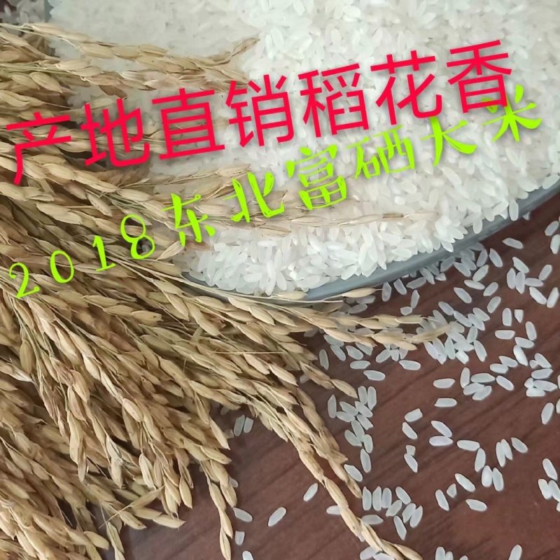 东北稻花香大米