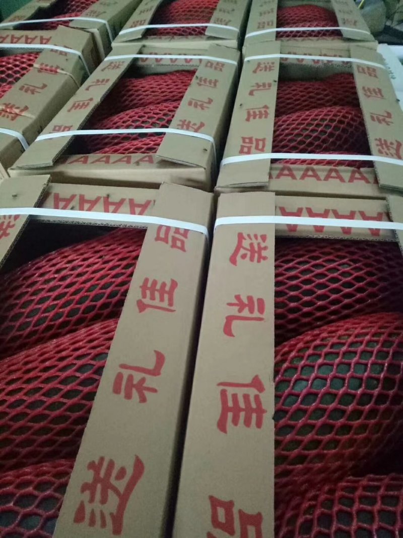 久红瑞，西周密17，雅典，南海蜜大量现货，欢迎全国各地客