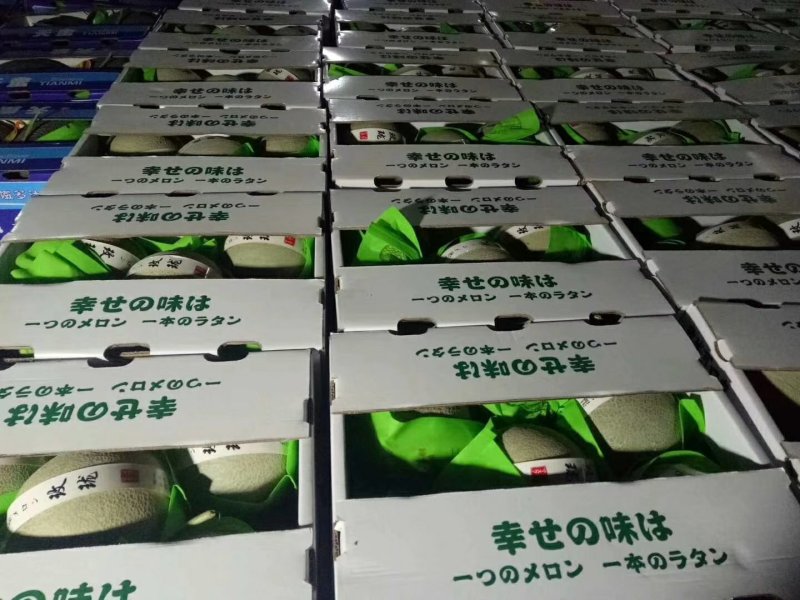 久红瑞，西周密17，雅典，南海蜜大量现货，欢迎全国各地客
