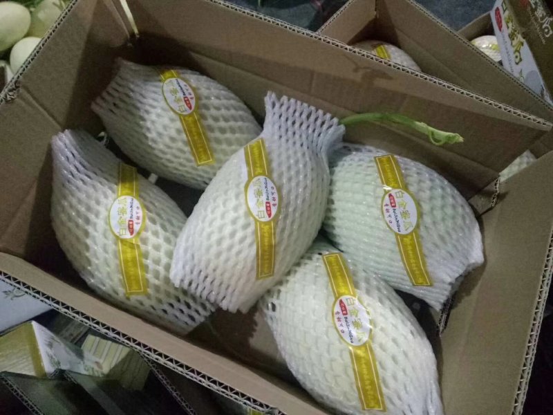 久红瑞，西周密17，雅典，南海蜜大量现货，欢迎全国各地客
