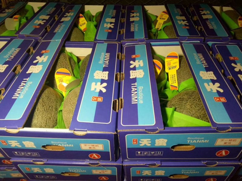 久红瑞，西周密17，雅典，南海蜜大量现货，欢迎全国各地客